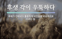 속담: 후생 각이 우뚝하다
