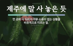 속담: 제주에 말 사 놓은 듯