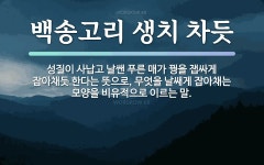속담: 백송고리 생치 차듯