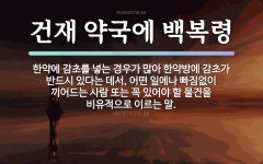 속담: 건재 약국에 백복령