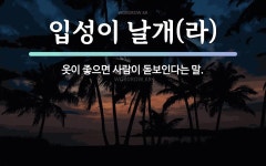 속담: 입성이 날개(라)