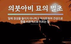 건성에 관한 명언