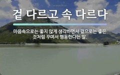 속담: 겉 다르고 속 다르다