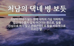 속담: 처남의 댁네 병 보듯