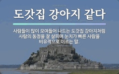 속담: 도갓집 강아지 같다