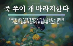 속담: 죽 쑤어 개 바라지한다