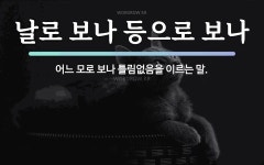속담: 날로 보나 등으로 보나