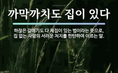 속담: 까막까치도 집이 있다