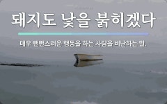 속담: 돼지도 낯을 붉히겠다