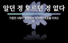 속담: 알던 정 모르던 정 없다