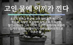 속담: 고인 물에 이끼가 낀다