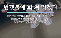 속담: 번갯불에 회 쳐 먹겠다