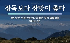 속담: 장독보다 장맛이 좋다