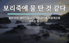 속담: 보리죽에 물 탄 것 같다