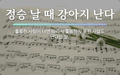 속담: 정승 날 때 강아지 난다