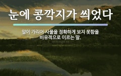 속담: 눈에 콩깍지가 씌었다