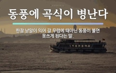 동풍에 관한 한자/한자성어/사자성어 2개  동풍에 관한 한자/한자성어/사자성어 2개