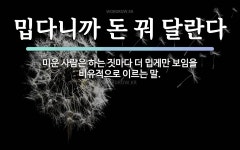 속담: 밉다니까 돈 꿔 달란다