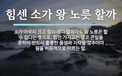 속담: 힘센 소가 왕 노릇 할까