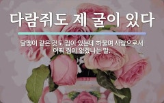 속담: 다람쥐도 제 굴이 있다