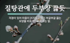 속담: 질탕관에 두부장 끓듯