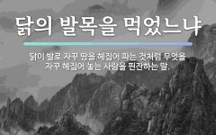 속담: 닭의 발목을 먹었느냐