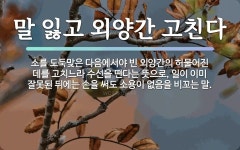 속담: 말 잃고 외양간 고친다