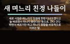 속담: 새 며느리 친정 나들이