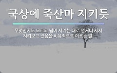 속담: 국상에 죽산마 지키듯