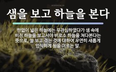 속담: 샘을 보고 하늘을 본다