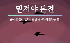 속담: 밑져야 본전