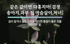속담: 같은 값이면 다홍치마[검정 송아지,과부 집 머슴살이,처녀]