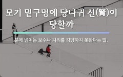 속담: 모기 밑구멍에 당나귀 신(腎)이 당할까