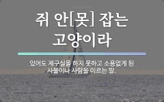속담: 쥐 안[못] 잡는 고양이라