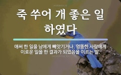 속담: 죽 쑤어 개 좋은 일 하였다
