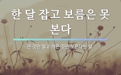속담: 한 달 잡고 보름은 못 본다