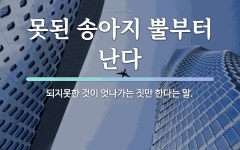 속담: 못된 송아지 뿔부터 난다