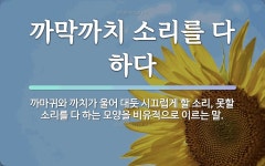 속담: 까막까치 소리를 다 하다