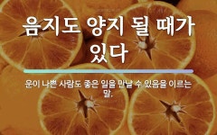 속담: 음지도 양지 될 때가 있다