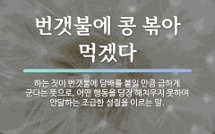 속담: 번갯불에 콩 볶아 먹겠다