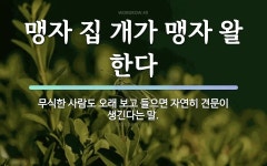 속담: 맹자 집 개가 맹자 왈 한다