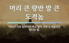 속담: 머리 큰 량반 발 큰 도적놈