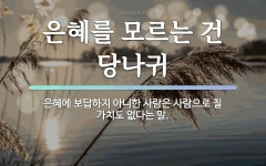 속담: 은혜를 모르는 건 당나귀