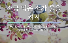 속담: 소금 먹은 소가 물을 켜지