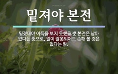 속담: 밑져야 본전