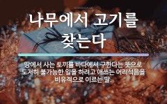 속담: 나무에서 고기를 찾는다