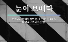 속담: 눈이 보배다