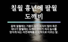 속담: 칠월 흉년에 팔월 도깨비