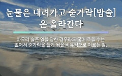 속담: 눈물은 내려가고 숟가락[밥술]은 올라간다