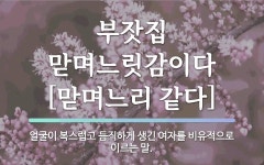 속담: 부잣집 맏며느릿감이다[맏며느리 같다]